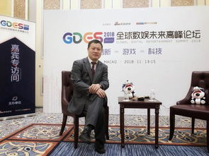 游戏副总,揭秘行业幕后英雄的传奇故事(图1) 游戏副总,揭秘行业幕后英雄的传奇故事(图1)