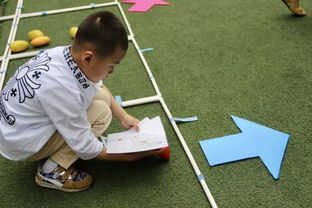 户外游戏数学,户外游戏中的数学乐趣探索