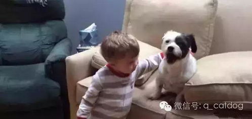 丢接球游戏,锻炼协作与反应的亲子互动新选择