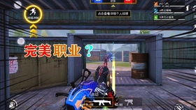 山炮说游戏,揭秘网络热梗背后的游戏世界