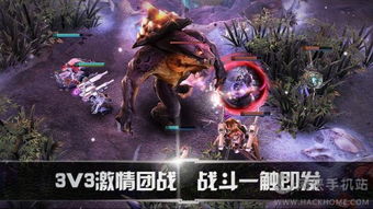 虚荣游戏正版官网,探索虚拟世界的荣耀与激情