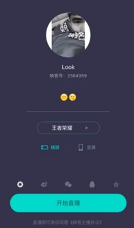映客游戏苹果版链接,解锁全新娱乐体验