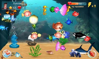 模拟水族馆游戏,模拟水族馆游戏深度体验