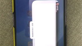 FK内核管理器 