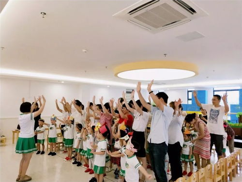 小班音乐游戏小鸡出壳,欢声笑语中感受小鸡出壳的奇妙之旅
