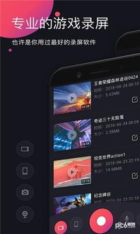录屏游戏软件,深度解析与实战技巧(图3) 录屏游戏软件,深度解析与实战技巧(图3)