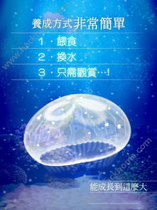 海蜇养成游戏海蜇最大,从幼体到霸主的成长之旅(图3) 海蜇养成游戏海蜇最大,从幼体到霸主的成长之旅(图3)
