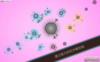 真菌世界 