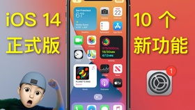 苹果11promax桌面 