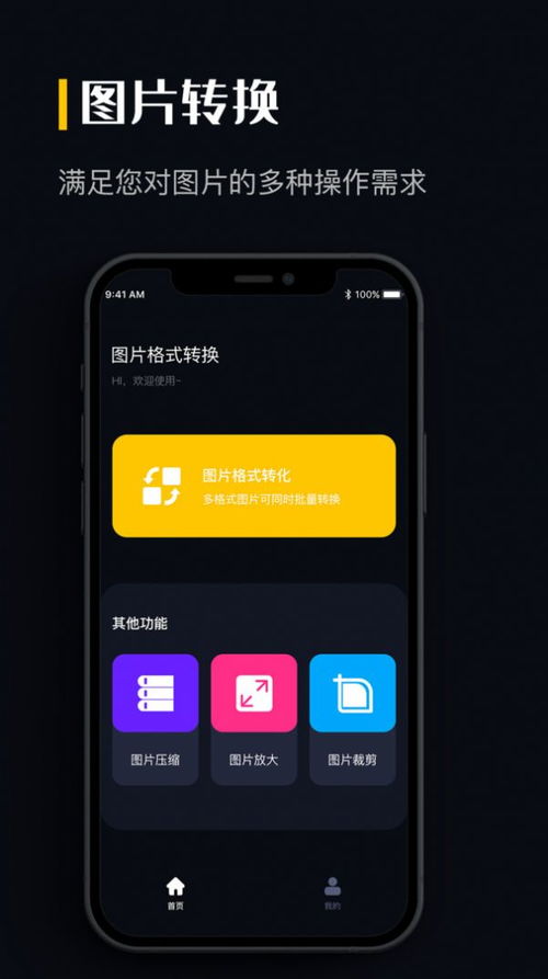爱莎公主游戏换装 