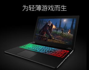 炫龙游戏本,畅享游戏新境界(图2) 炫龙游戏本,畅享游戏新境界(图2)