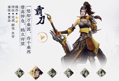 游戏六大职业(图1) 游戏六大职业(图1)