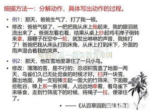 写一种游戏的作文,探索未知世界的游戏作文(图3) 写一种游戏的作文,探索未知世界的游戏作文(图3)