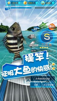 疯狂钓鱼手机游戏下载,尽在指尖!(图2) 疯狂钓鱼手机游戏下载,尽在指尖!(图2)