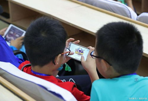 学生寒假游戏,学生们的欢乐冒险之旅(图3) 学生寒假游戏,学生们的欢乐冒险之旅(图3)