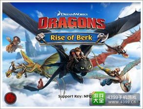 驯龙骑士游戏,解锁神秘龙族传奇