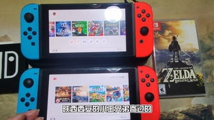 switch二手游戏,Switch平台热门游戏盘点(图3)
