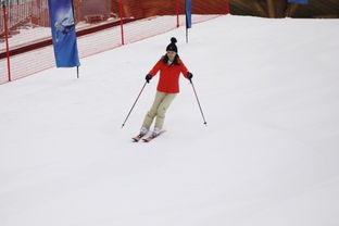 雪空游戏,探索神秘雪域世界(图3) 雪空游戏,探索神秘雪域世界(图3)