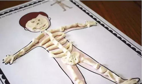 学器官游戏,学器官游戏趣味科普之旅(图1) 学器官游戏,学器官游戏趣味科普之旅(图1)