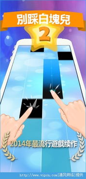 游戏钢琴块2免费下载,尽享无限乐章(图2) 游戏钢琴块2免费下载,尽享无限乐章(图2)