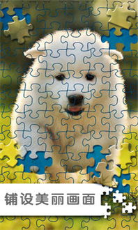 我要拼图游戏,探索智慧与乐趣的拼图游戏之旅(图2) 我要拼图游戏,探索智慧与乐趣的拼图游戏之旅(图2)