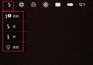小桃的纠结安卓游戏 