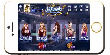 新天游戏辅助,体验极致畅玩之旅(图3)