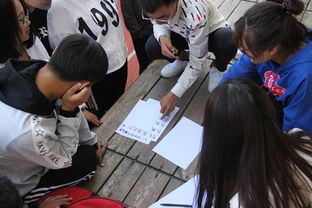 心理拓展训练项目游戏,团队协作新篇章(图3) 心理拓展训练项目游戏,团队协作新篇章(图3)