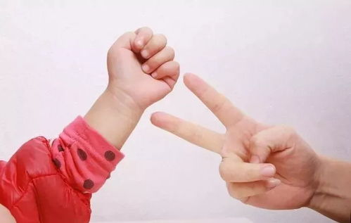 关于手的手指游戏(图3) 关于手的手指游戏(图3)