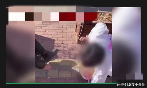 性虐游戏大全,性虐游戏大全揭秘(图3)