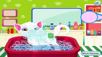 整理小帮手  整理小帮手