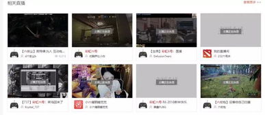 直播平台禁播游戏,盘点那些被禁播的热门游戏(图1)