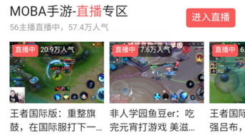 直播平台禁播游戏,盘点那些被禁播的热门游戏(图3)