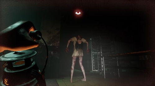 新款恐怖游戏,探索未知恐惧的极限生存之旅