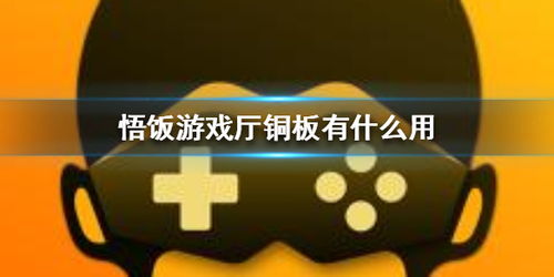 悟饭游戏厅铜板(图1)