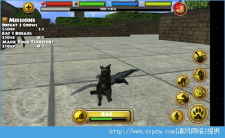 游戏猫模拟器,探索奇幻猫界之旅