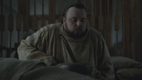 权利的游戏班杨,班杨的荣耀与挑战(图3) 权利的游戏班杨,班杨的荣耀与挑战(图3)