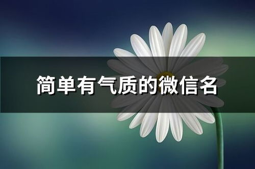 情侣游戏名简单气质,探寻情侣游戏中的甜蜜时光(图3) 情侣游戏名简单气质,探寻情侣游戏中的甜蜜时光(图3)