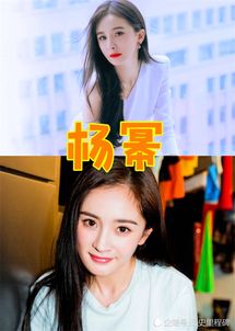 明星玩的游戏有哪些,揭秘明星们热爱的游戏世界(图2)