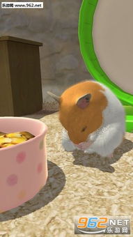 仓鼠游乐场手机版下载 (图3) 仓鼠游乐场手机版下载 (图3)
