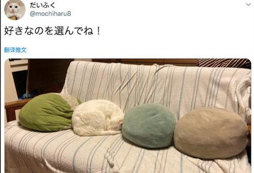 假装枕头游戏,假装枕头游戏的奇幻冒险之旅(图2)