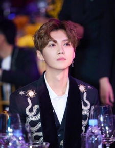 鹿晗陈赫游戏视频,游戏视频展现兄弟情谊(图2)