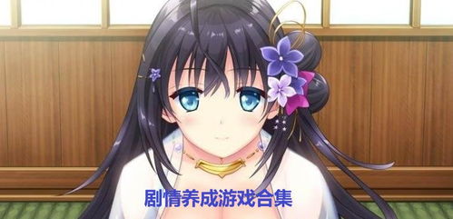 関守神汉化游戏 