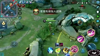 原野之森游戏官方版最新版2024手机下载安装 (图2) 原野之森游戏官方版最新版2024手机下载安装 (图2)