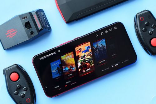 唱首歌给蜜蜂听2024最新版游戏手机下载 