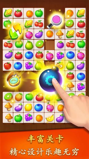 连连看水果派对 