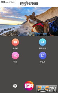 nv剪辑nv剪辑官方版下载 