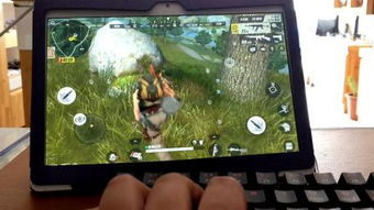 小桃的纠结安卓游戏 