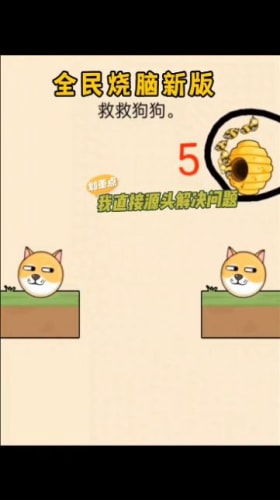 救救狗狗蜜蜂 